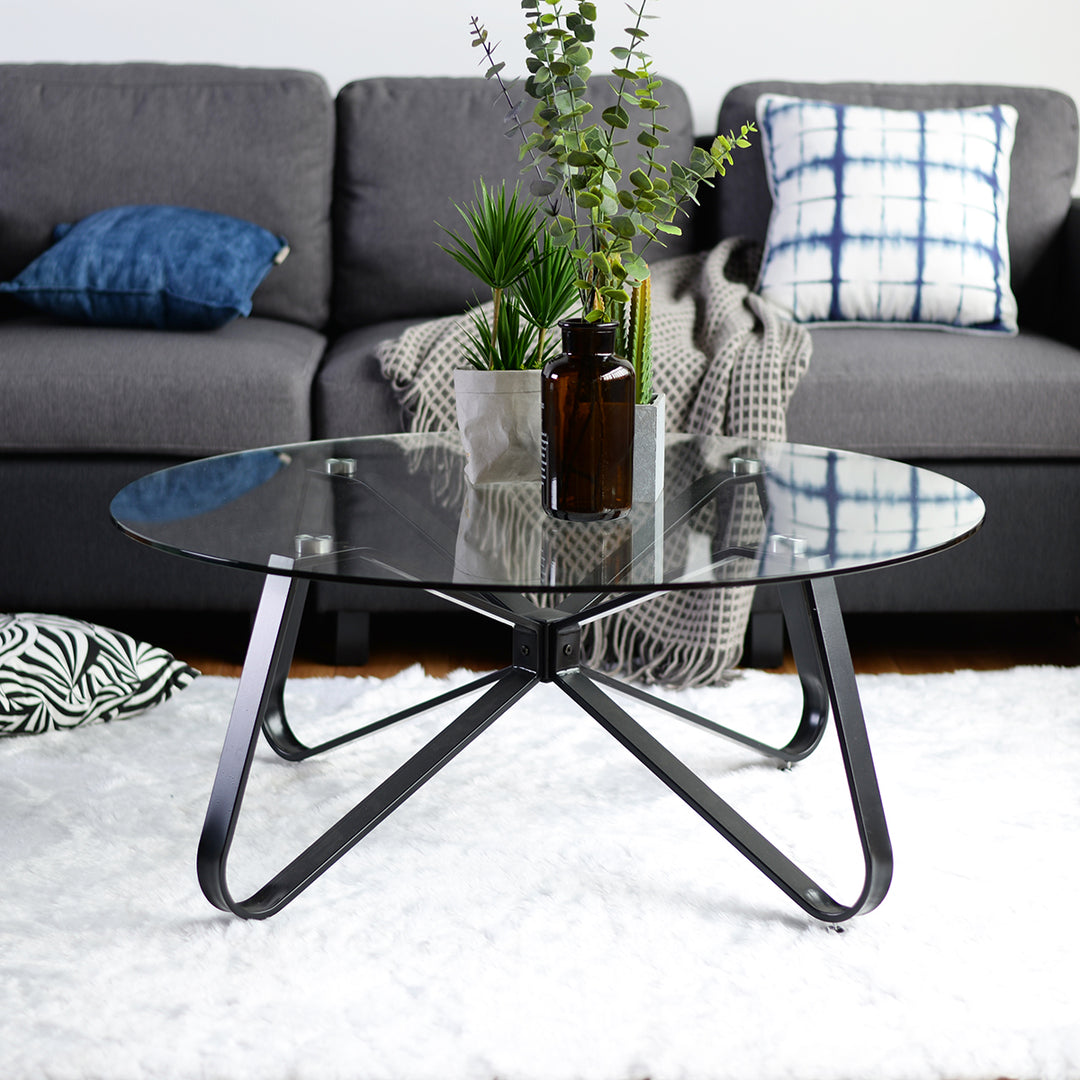 Furniture R Table Basse Ronde en Verre trempé, Style Minimaliste, Table Basse Centrale Moderne avec Base en Fer Noir pour la Maison, Le Salon, la terrasse, Le Jardin (80 x 80 x 40 cm)