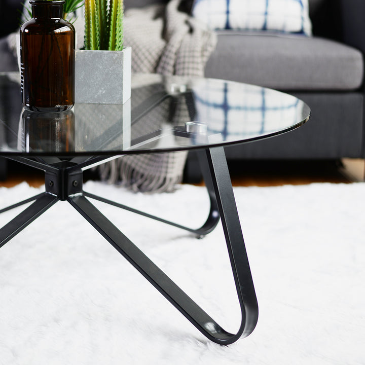 Furniture R Table Basse Ronde en Verre trempé, Style Minimaliste, Table Basse Centrale Moderne avec Base en Fer Noir pour la Maison, Le Salon, la terrasse, Le Jardin (80 x 80 x 40 cm)