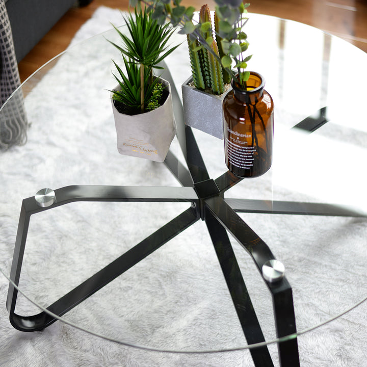 Furniture R Table Basse Ronde en Verre trempé, Style Minimaliste, Table Basse Centrale Moderne avec Base en Fer Noir pour la Maison, Le Salon, la terrasse, Le Jardin (80 x 80 x 40 cm)