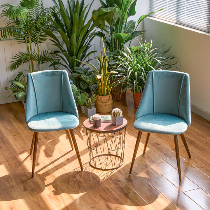 Furniture R Comfortable Upholstered Dining Chairs With Luxury Velvet And Metal Frames